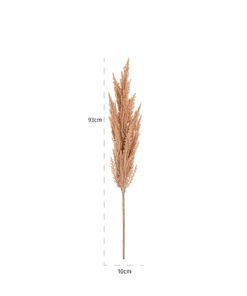 -FL-0026 - Frond pampas rosee small (12 pieces)